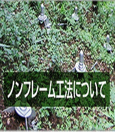 BRN